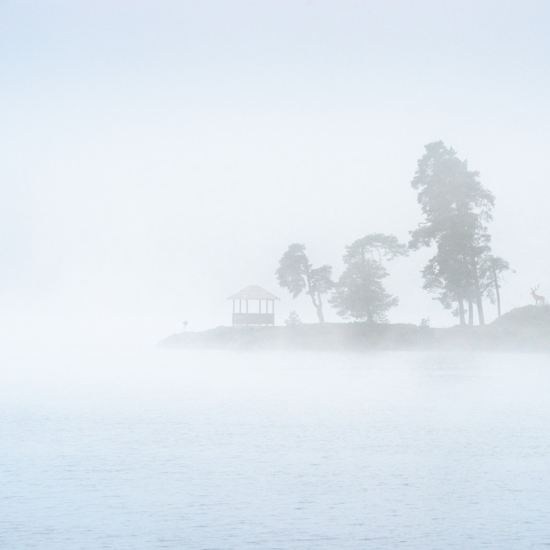 Schluchsee im Nebel
