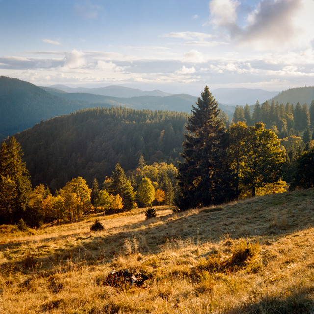 Spätsommerlandschaft bei der Todtnauer Hütte
