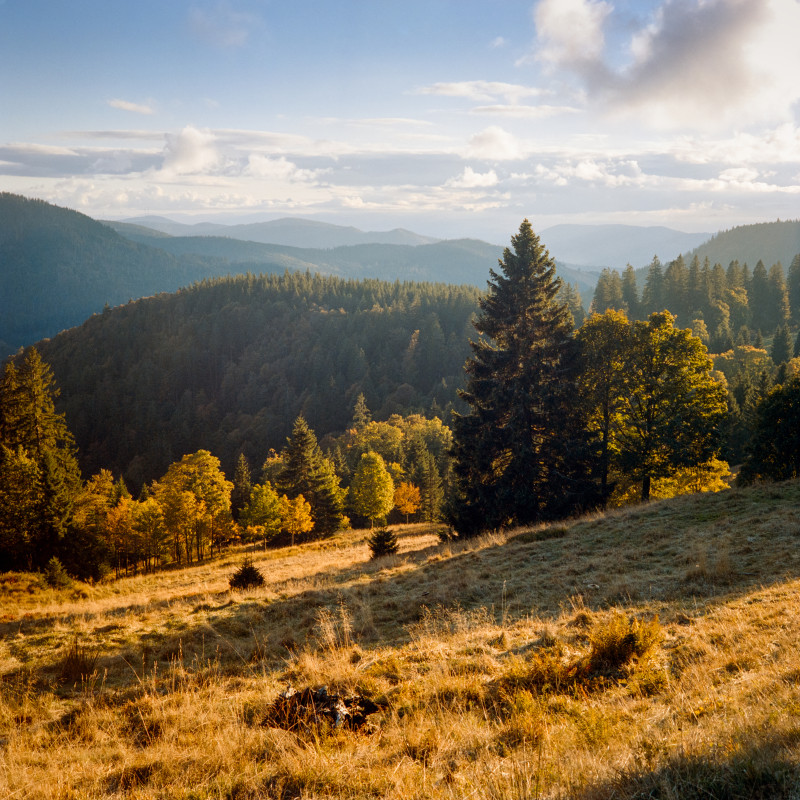 Spätsommerlandschaft bei der Todtnauer Hütte
