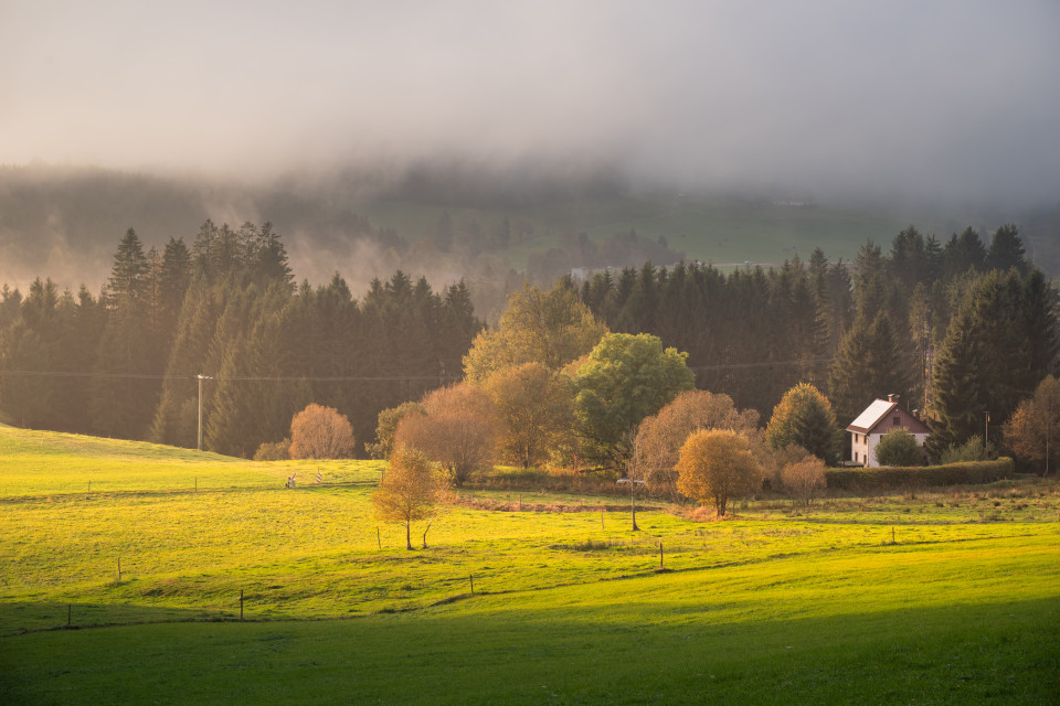 Herbstabend bei Breitnau