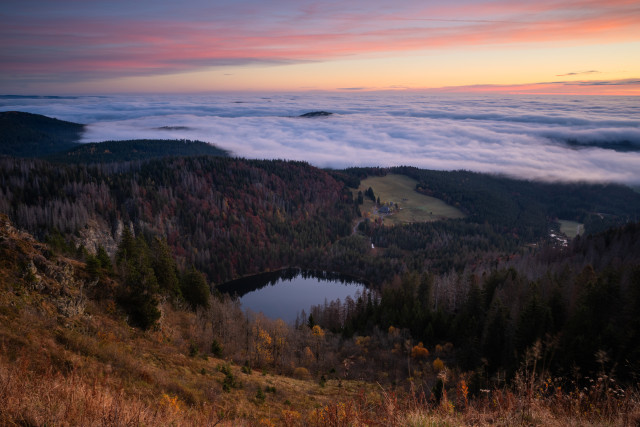 Morgenstimmung über dem Nebelmeer auf dem Seebuck