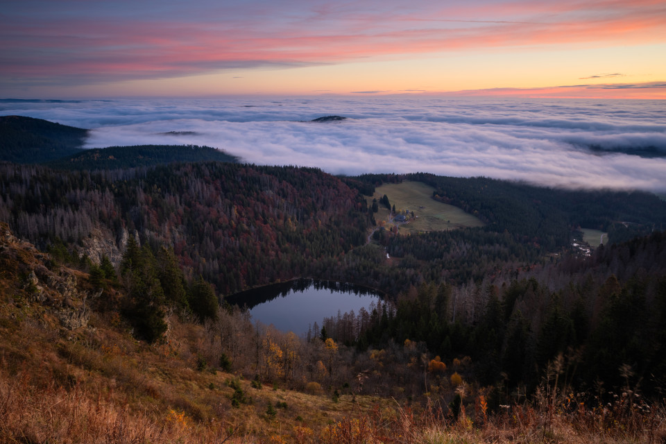 Morgenstimmung über dem Nebelmeer auf dem Seebuck