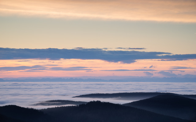 Morgenstimmung über dem Nebelmeer auf dem Seebuck