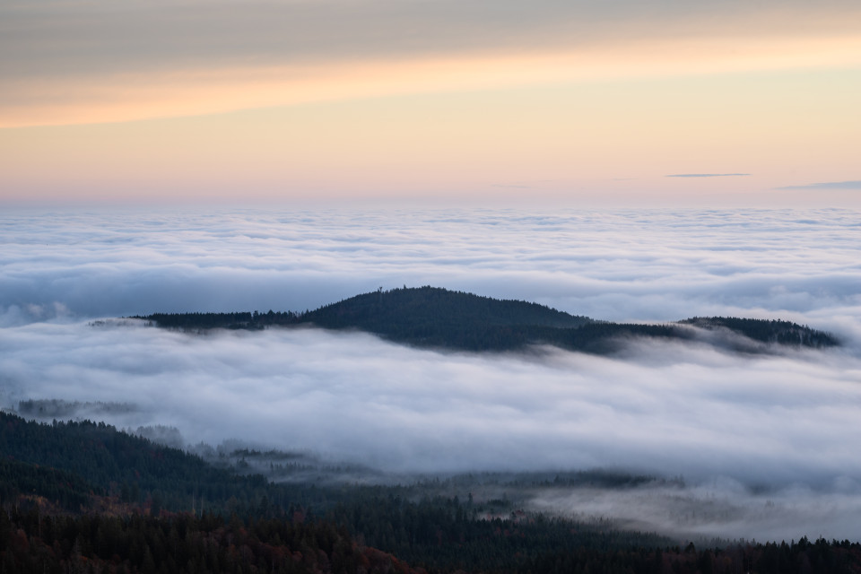 Morgenstimmung über dem Nebelmeer auf dem Seebuck