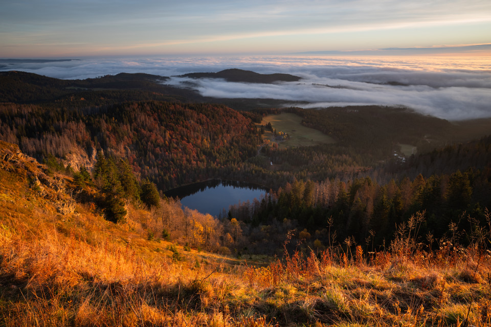Morgenstimmung über dem Nebelmeer auf dem Seebuck