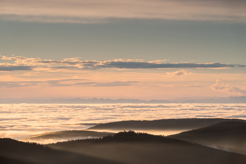 Morgenstimmung über dem Nebelmeer auf dem Seebuck
