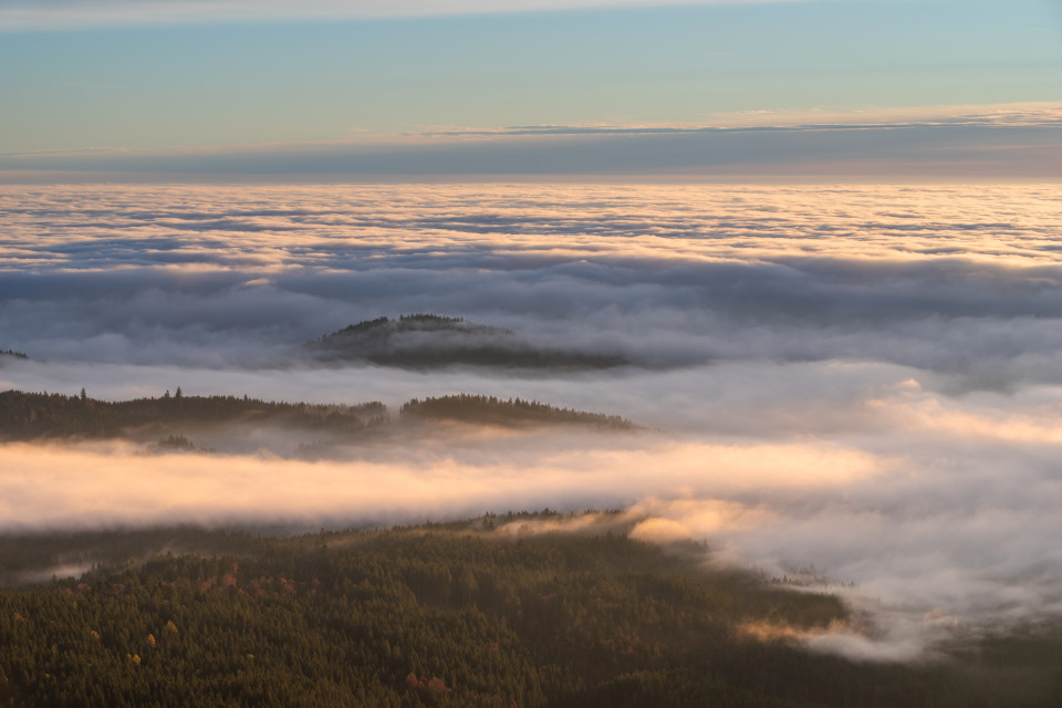 Morgenstimmung über dem Nebelmeer auf dem Seebuck