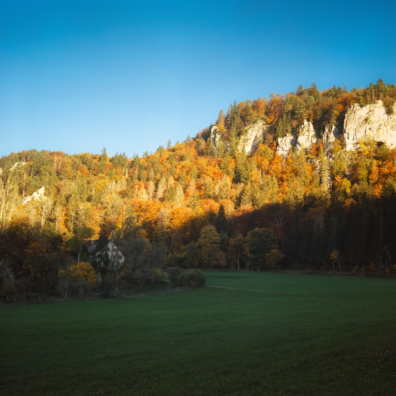 Beim Scheuerlehof