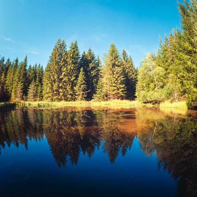 Floßbachweiher