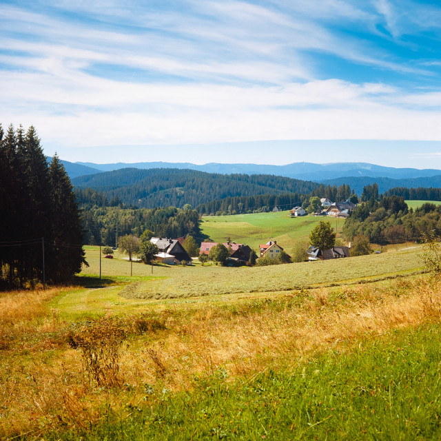 Feldbergblick bei Schwärzenbach