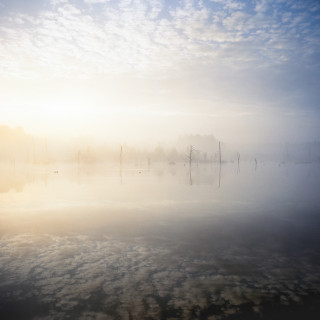 Morgenstimmung im Schwenninger Moos