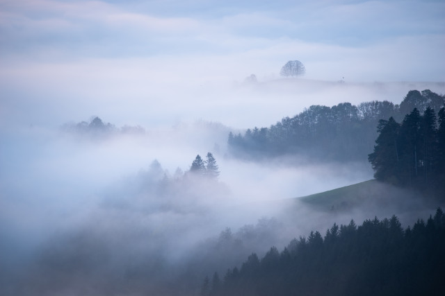 Inversion über dem Dreisamtal