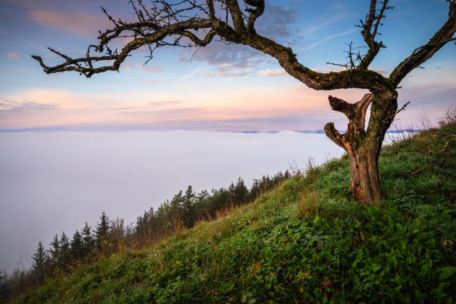 Auf dem Fürstenberg
