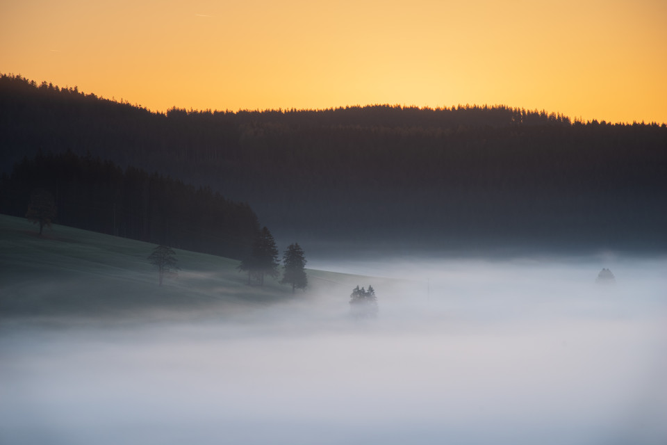 Herbstmorgen im Langenordnachtal