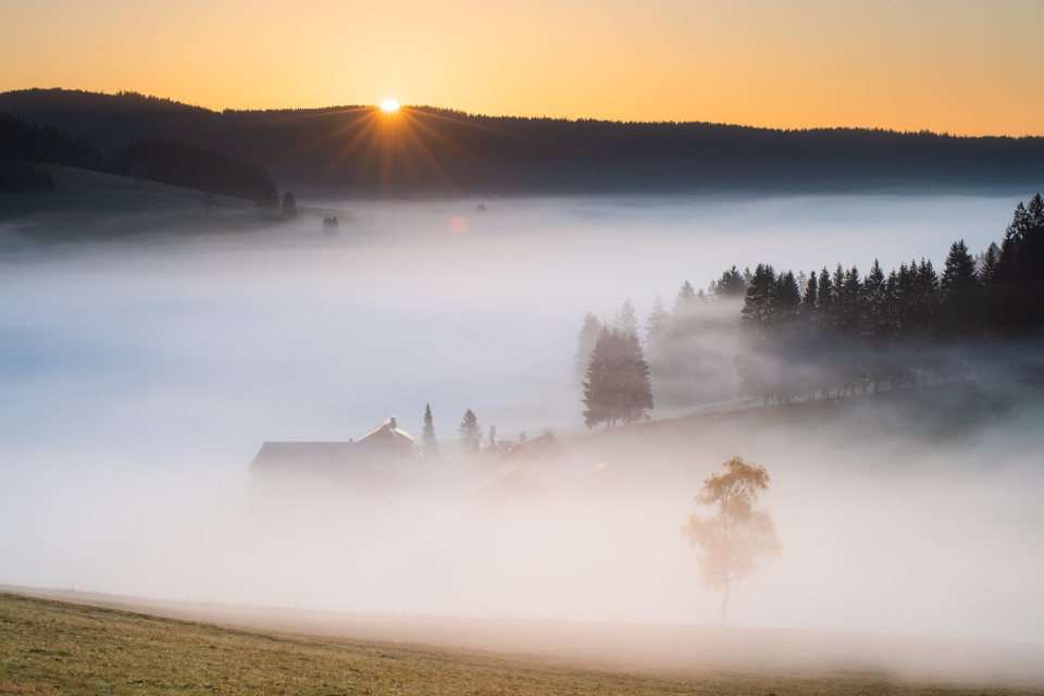 Herbstmorgen im Langenordnachtal