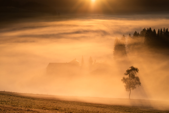 Herbstmorgen im Langenordnachtal
