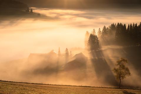 Herbstmorgen im Langenordnachtal
