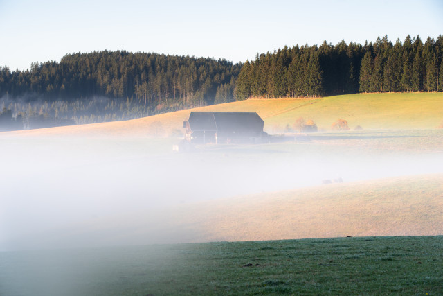 Herbstmorgen über dem Jostal