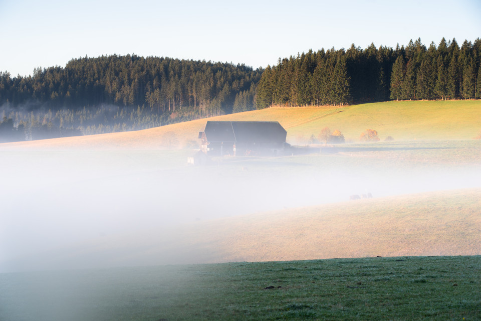 Herbstmorgen über dem Jostal