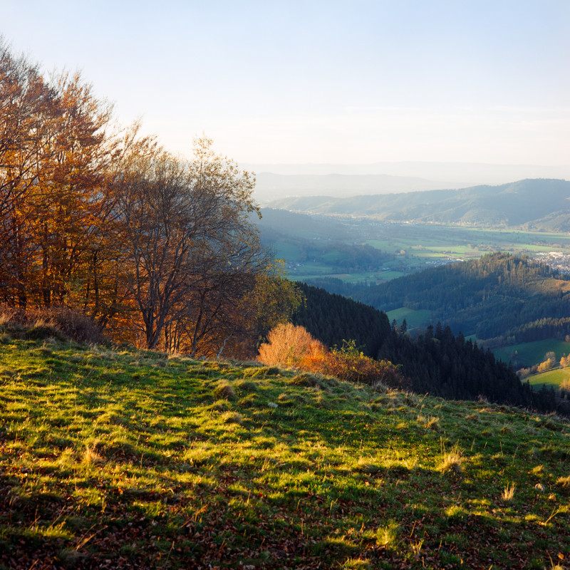 Blick vom Häusleberg über das Dreisamtal