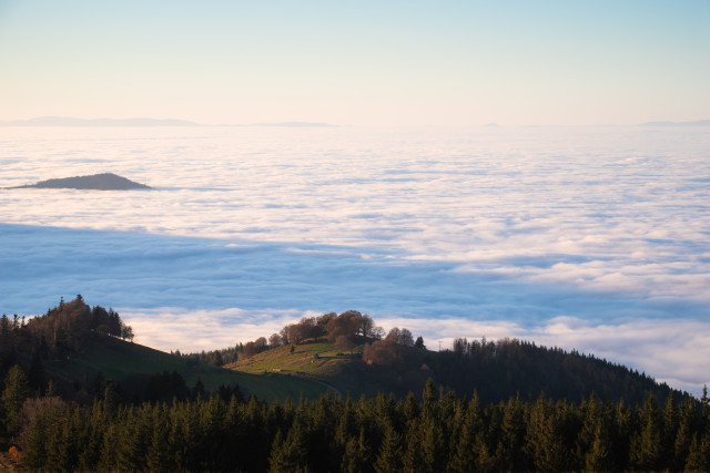 Nebelmeer unter dem Hinterwaldkopf