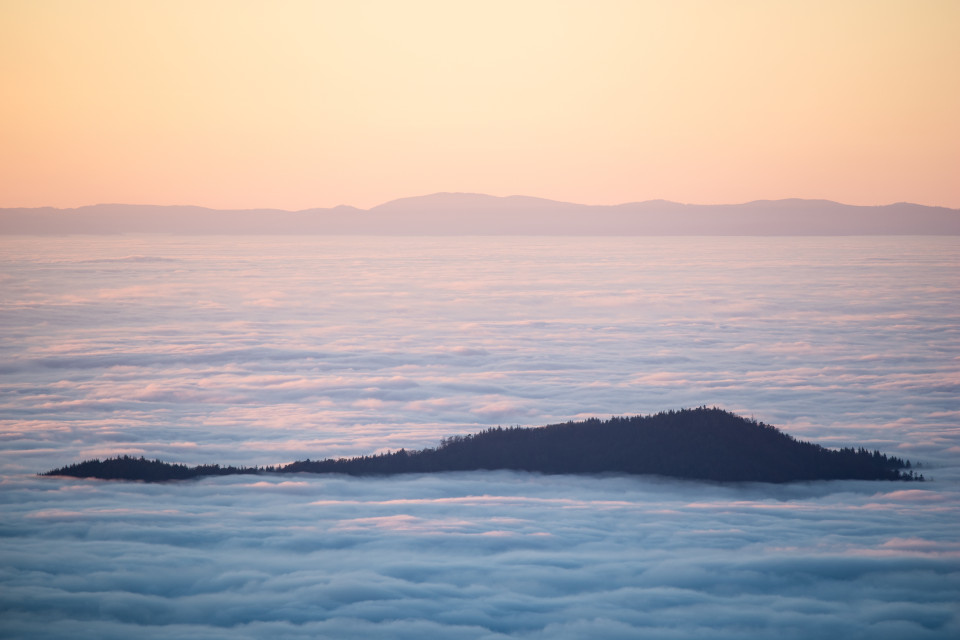 Insel im Nebelmeer