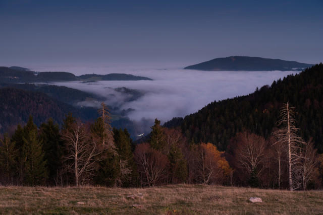 Hochnebel über Hinterzarten