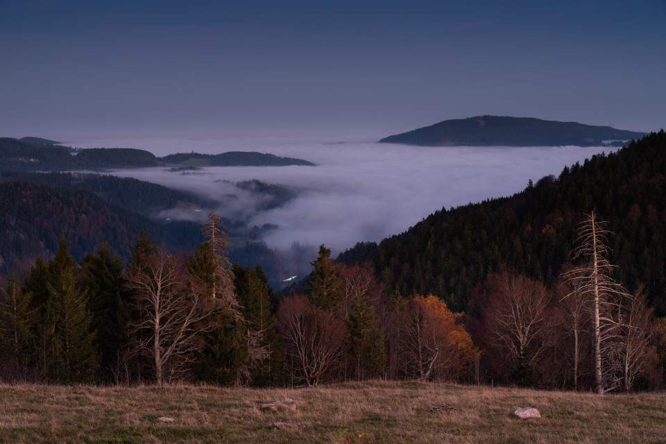 Hochnebel über Hinterzarten
