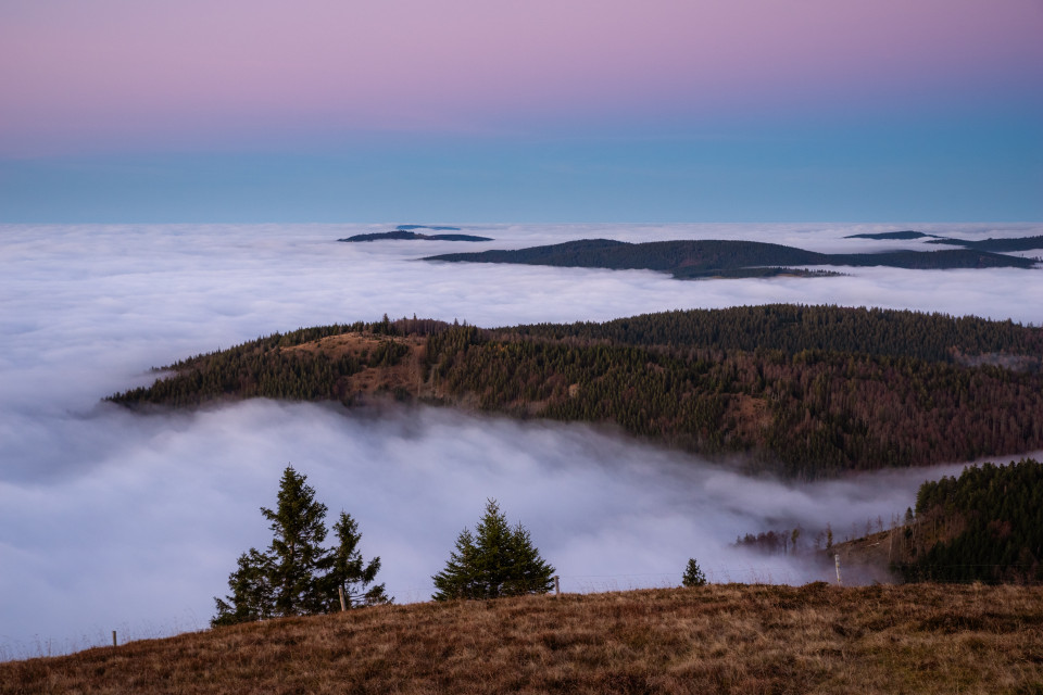 Abenddämmerung über dem Nebelmeer auf dem Belchen