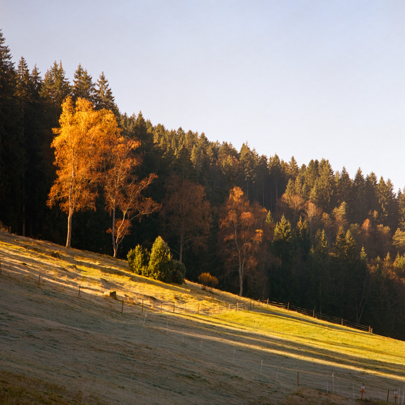 Winterhalde