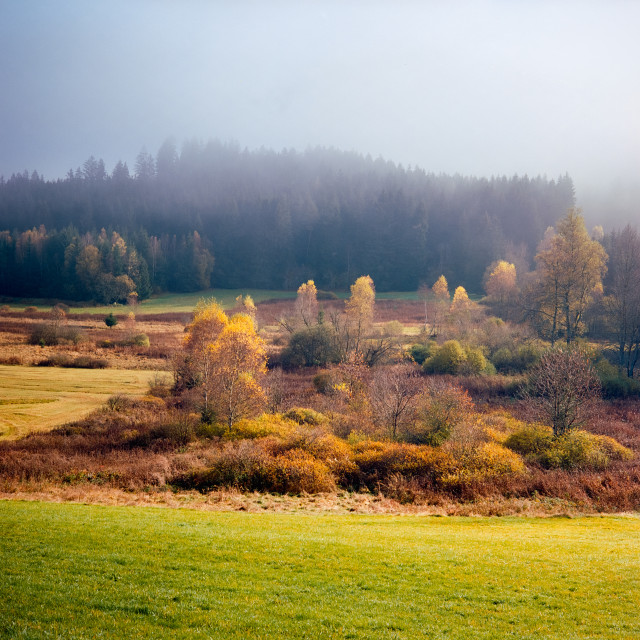 Moorlandschaft bei Neustadt