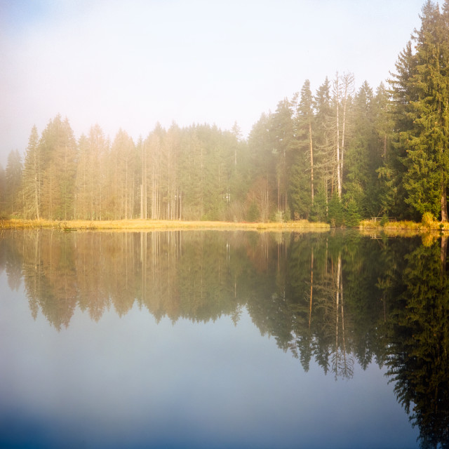 Eisweiher bei Titisee