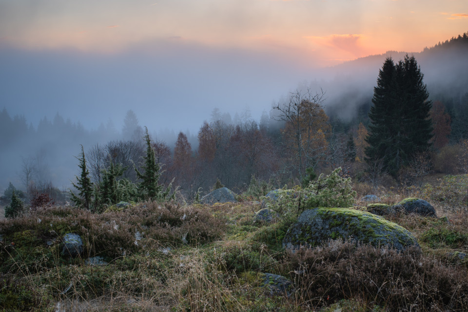 Wüstengraben vor Sonnenaufgang