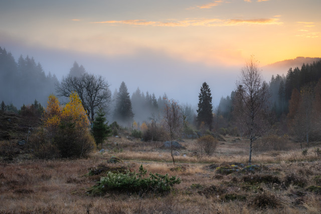Wüstengraben vor Sonnenaufgang
