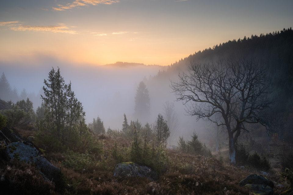 Wüstengraben vor Sonnenaufgang
