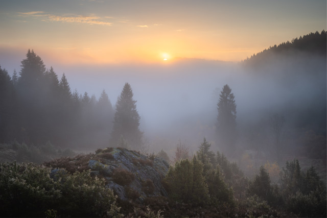 Wüstengraben bei Sonnenaufgang