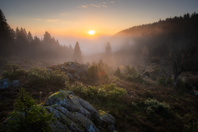Wüstengraben bei Sonnenaufgang
