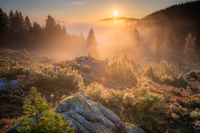 Wüstengraben bei Sonnenaufgang