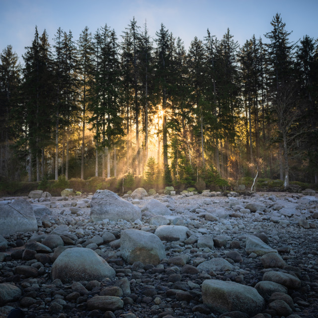Sonnenstrahlen am Schluchseeufer