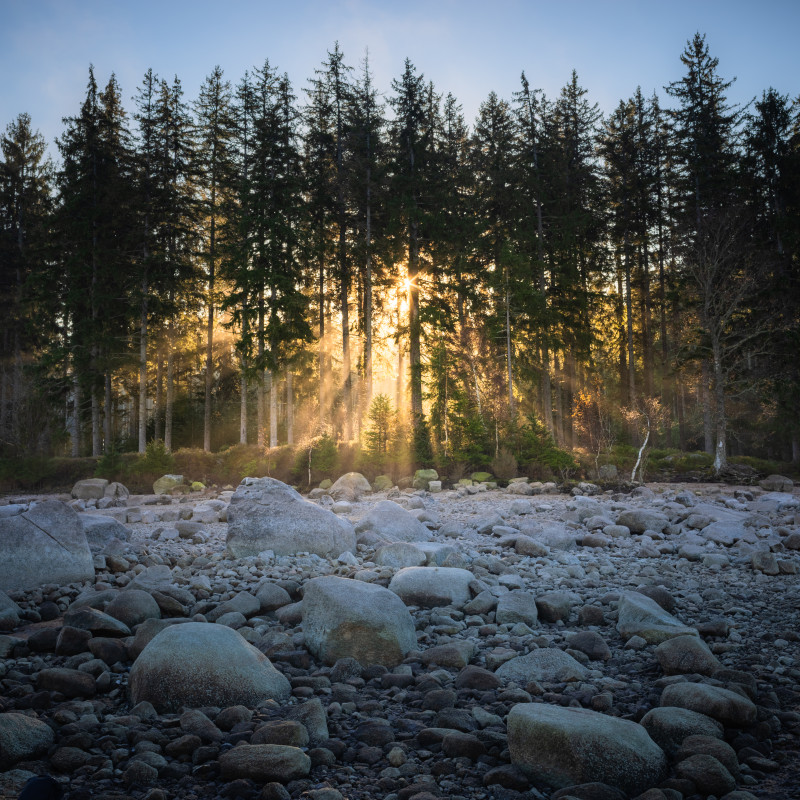 Sonnenstrahlen am Schluchseeufer