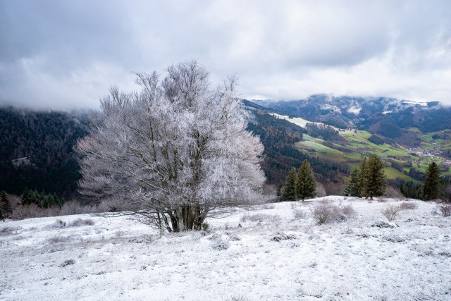 Häusleberg, Blick nach Oberried