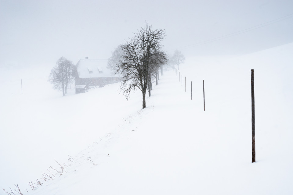Winterliche Straße in Breitnau-Einsiedel