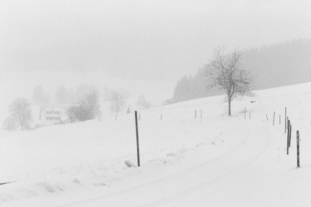 Neuschnee (analog)