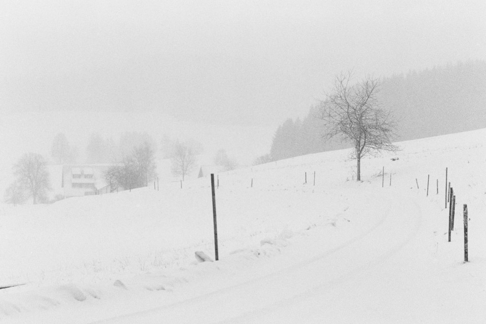 Neuschnee (analog)
