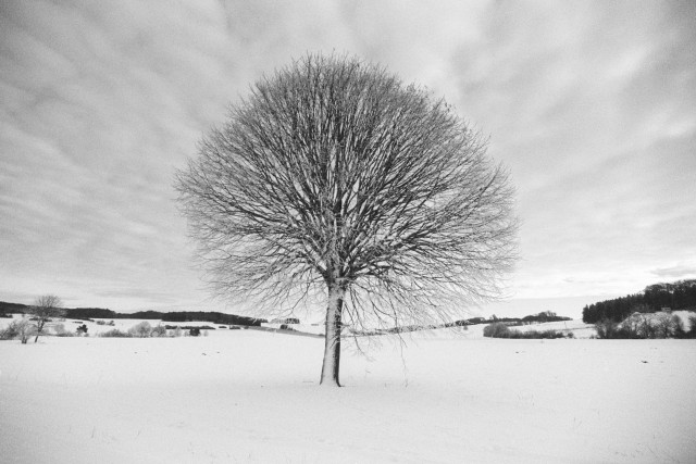 Winter bei Zainingen
