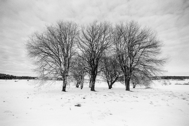 Winter bei Zainingen