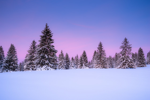 Wintermorgen bei Blasiwald