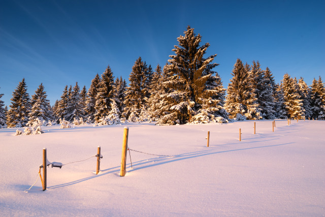 Wintermorgen bei Blasiwald