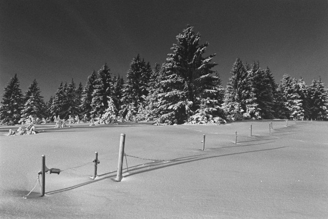 Winterlandschaft bei Blasiwald-Althütte