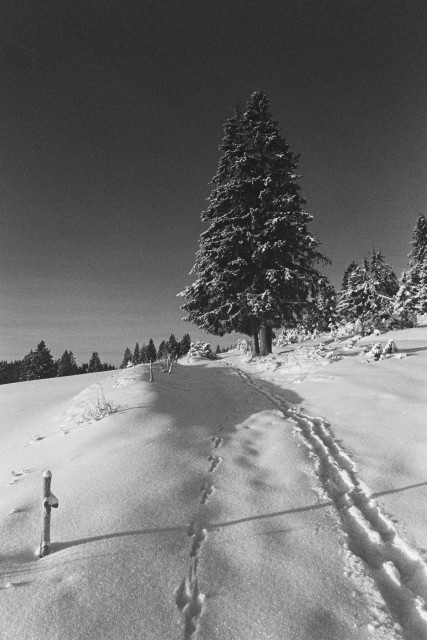 Winterlandschaft bei Blasiwald-Althütte